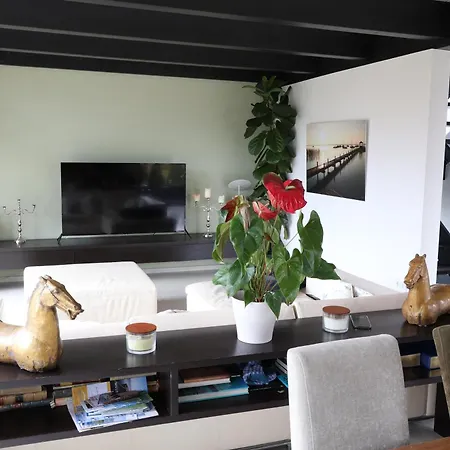 Residence شيمنغ